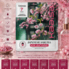 Japanese Sakura Skin Lightening Facial kit